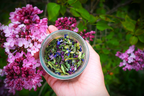 Wildcrafted Seasonal Teas