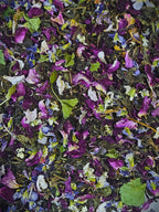 Wildcrafted Seasonal Teas